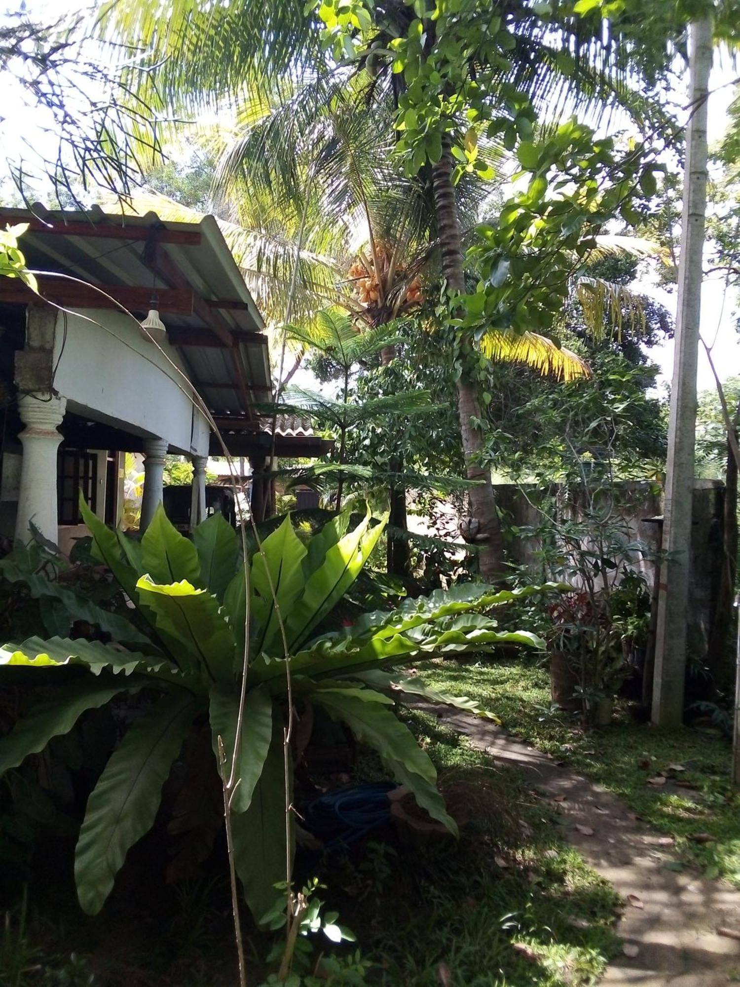 Bandula Home Stay Sigiriya Dış mekan fotoğraf
